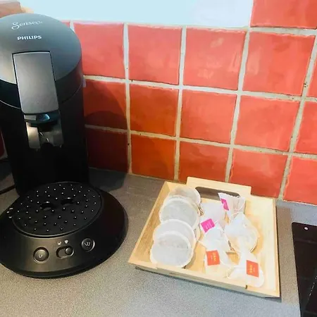 Spacieux En Plein Coeur De Castres Daire