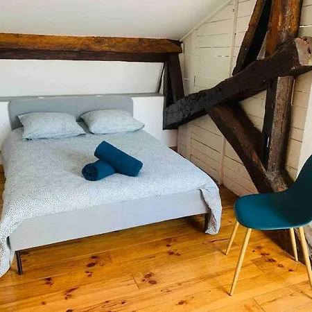 Appartement Spacieux En Plein Coeur De Castres Castres (Tarn)