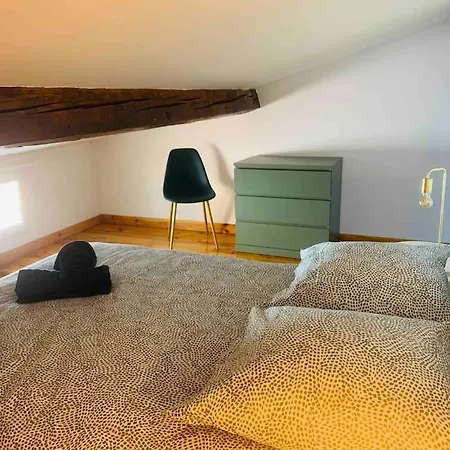 Appartement Spacieux En Plein Coeur De Castres