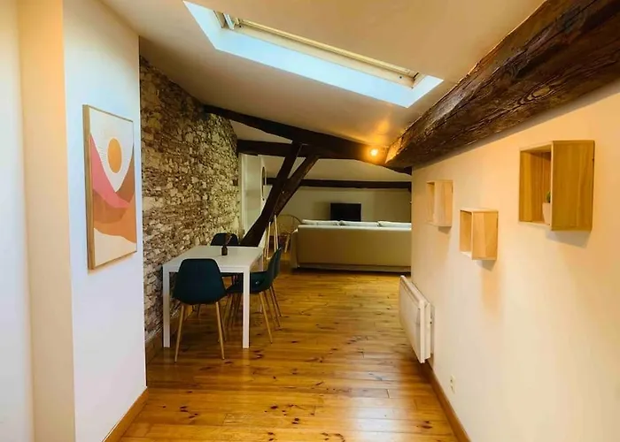 Spacieux En Plein Coeur De Castres Appartement Castres (Tarn)