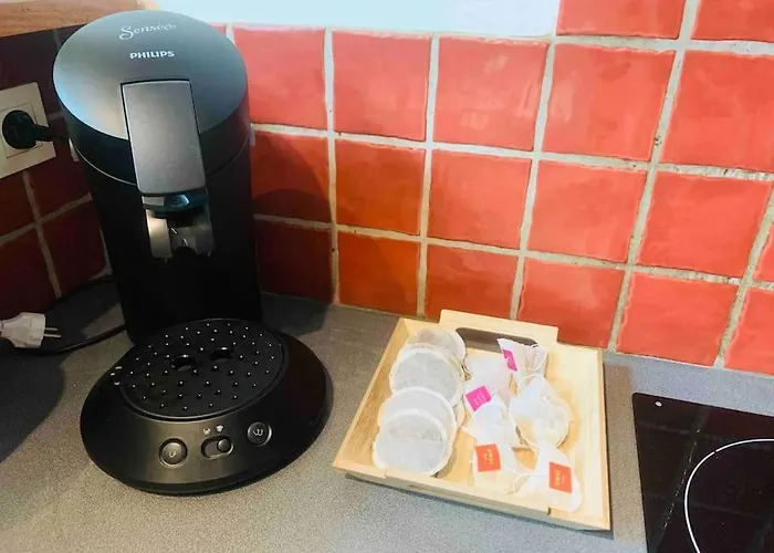 Spacieux En Plein Coeur De Castres Appartement