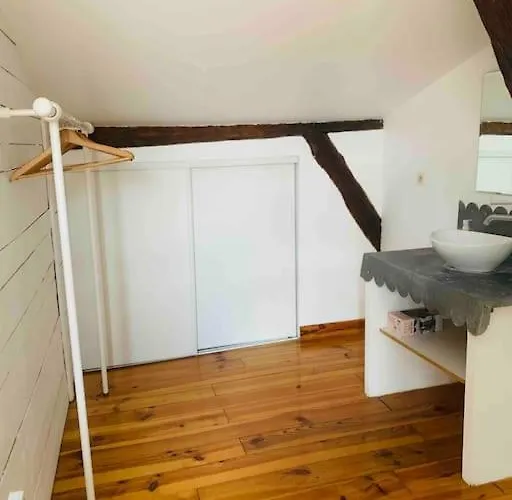 Appartement Spacieux En Plein Coeur De Castres *