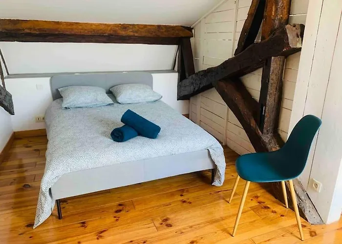 Appartement Spacieux En Plein Coeur De Castres Castres (Tarn)