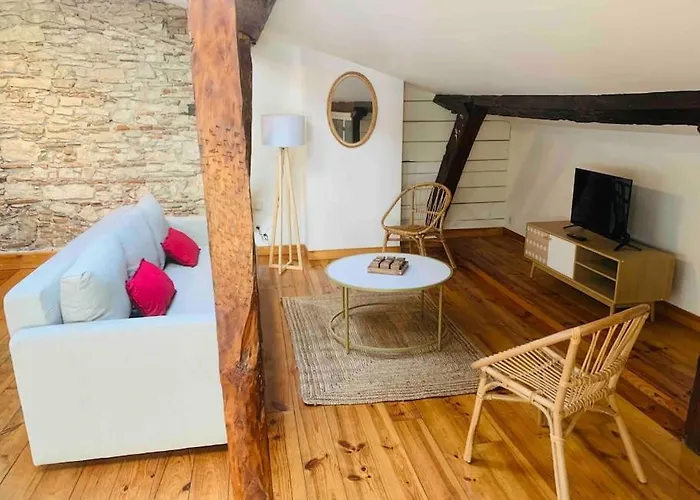 Spacieux En Plein Coeur De Castres Castres (Tarn)