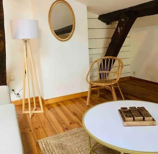 Appartement Spacieux En Plein Coeur De Castres Castres (Tarn)