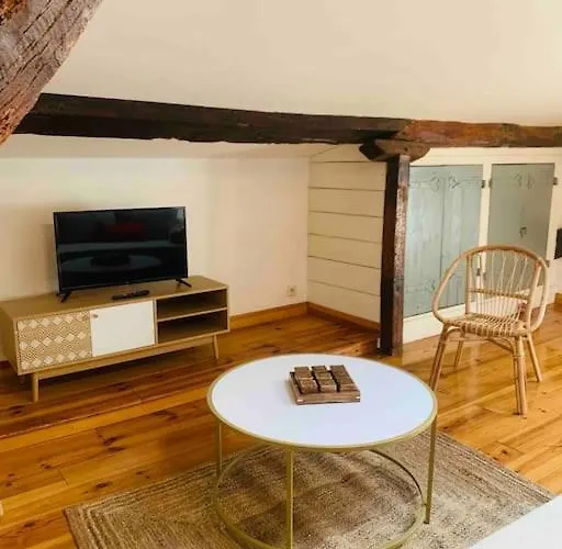 Spacieux En Plein Coeur De Castres