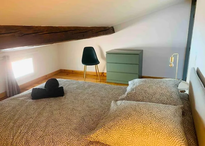Appartement Spacieux En Plein Coeur De Castres