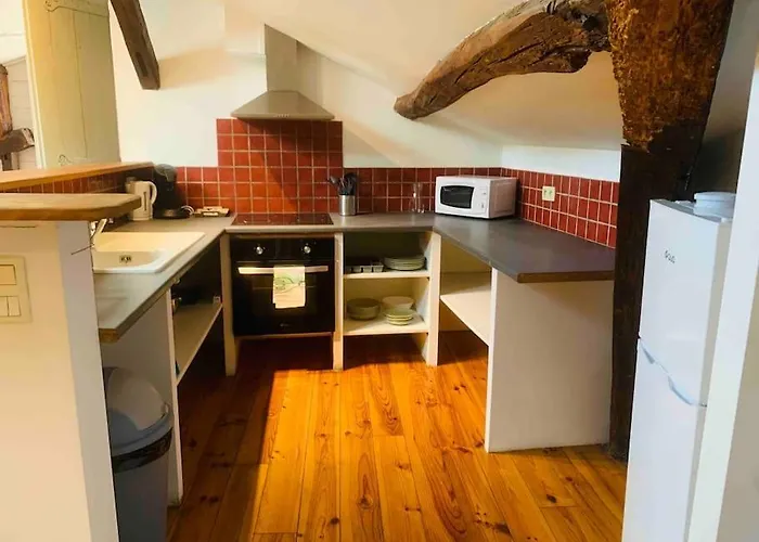 Spacieux En Plein Coeur De Castres Appartement *